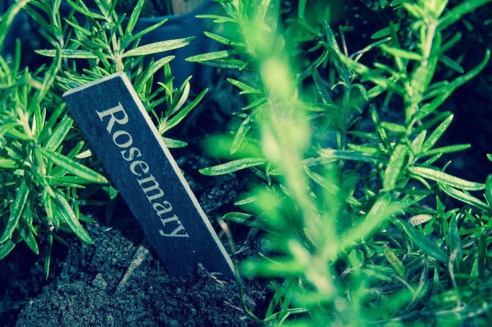 Room2 London Hammersmith Townhouse Eksteriør billede
